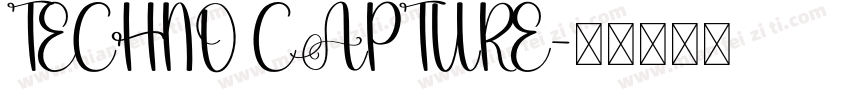 TECHNO CAPTURE字体转换
